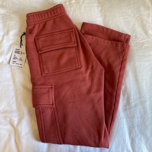 Aritzia TNA Mega Cargo Sweats